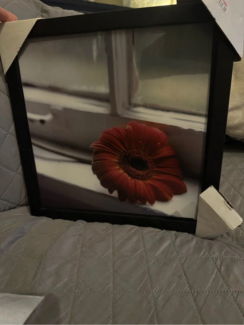 Framed Red Gerbera Daisy Wall Art